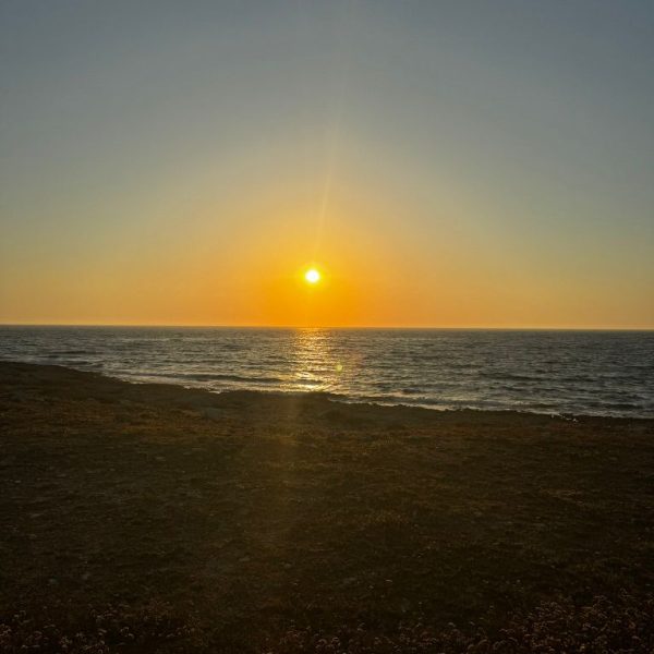 Morgenspaziergang11