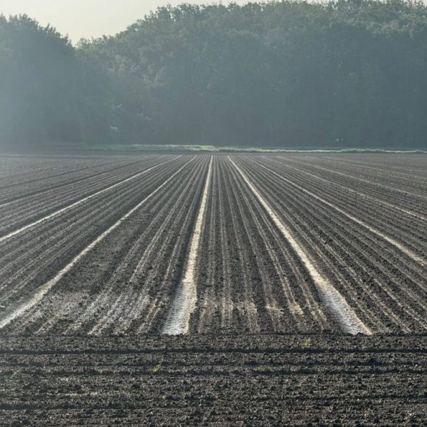 Morgenspaziergang7